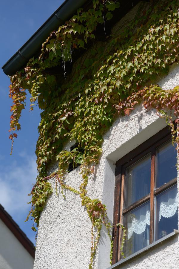 Hotel Am Regenbogen Cham Extérieur photo